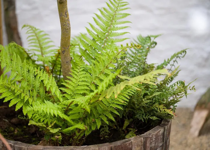 Appartamento Quirky 10 Min Walk To With Free Parking