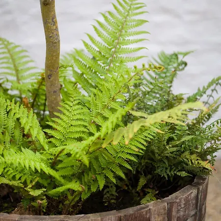 Apartment Quirky 10 Min Walk To With Free Parking